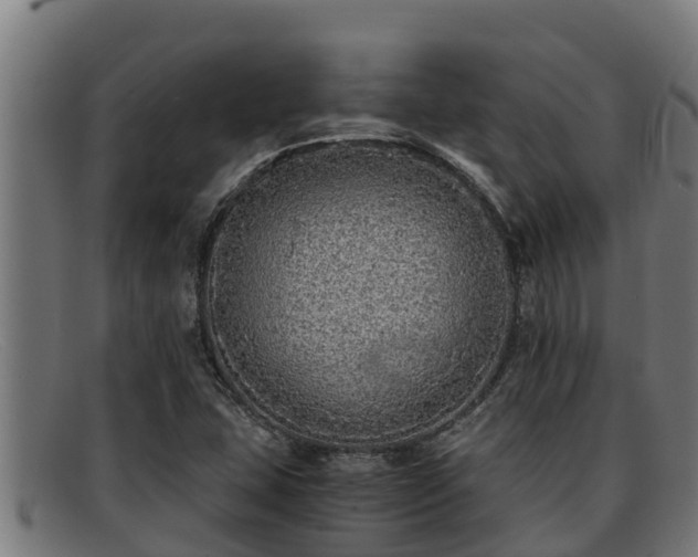 X0000091861407200709121321