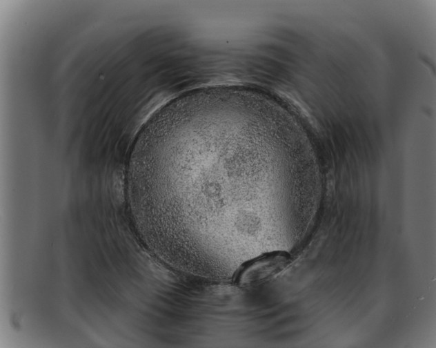 X0000091861409200709121321