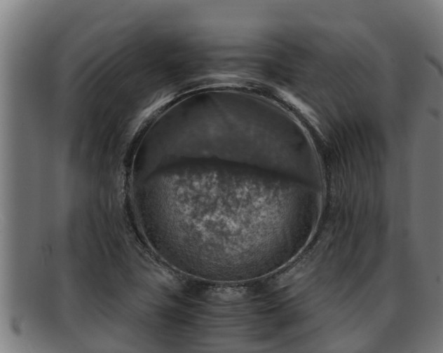 X0000091861411200709121321