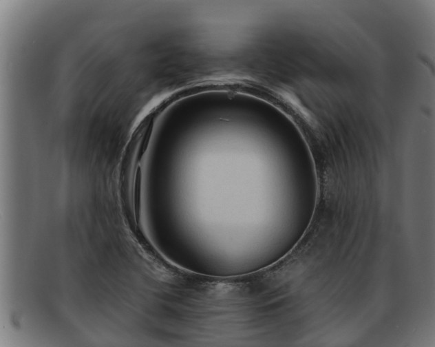 X0000091861412200709121321