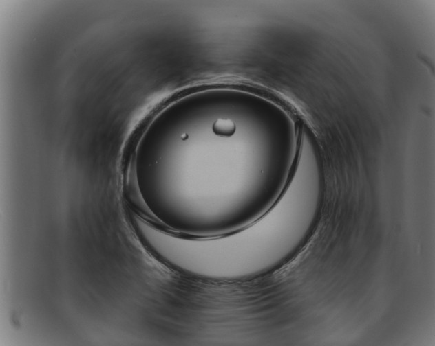 X0000091861414200709121321