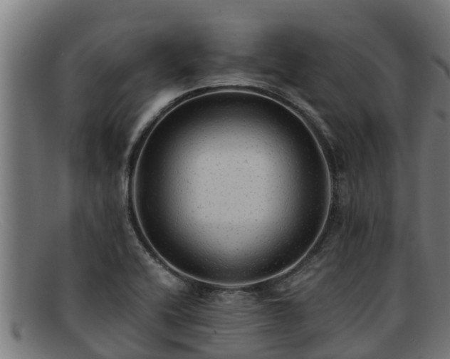 X0000091861416200709121321