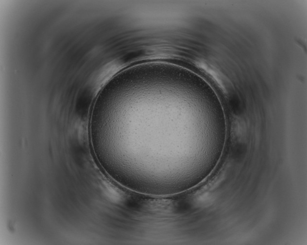 X0000091861417200709121321