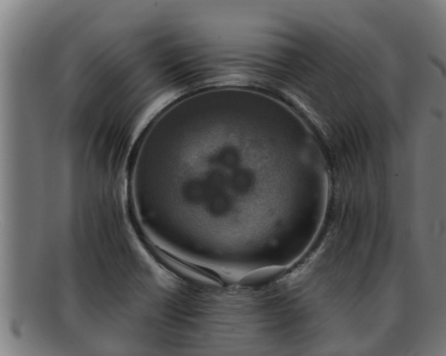 X0000091861418200709121321