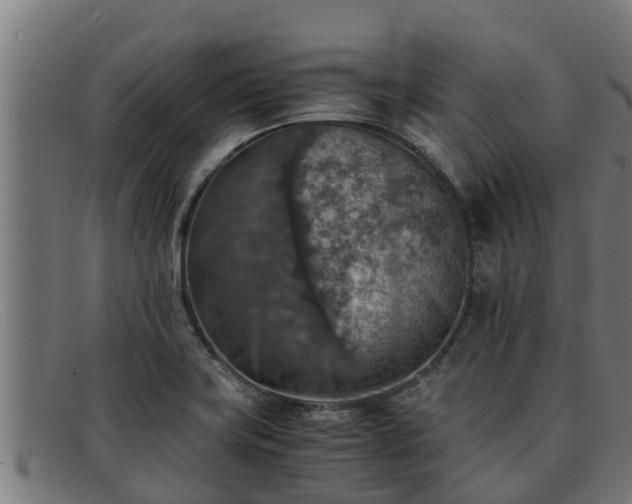 X0000091861419200709121321