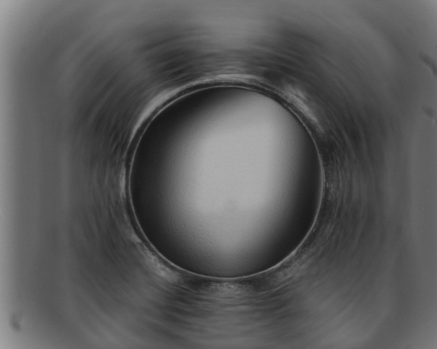 X0000091861420200709121321