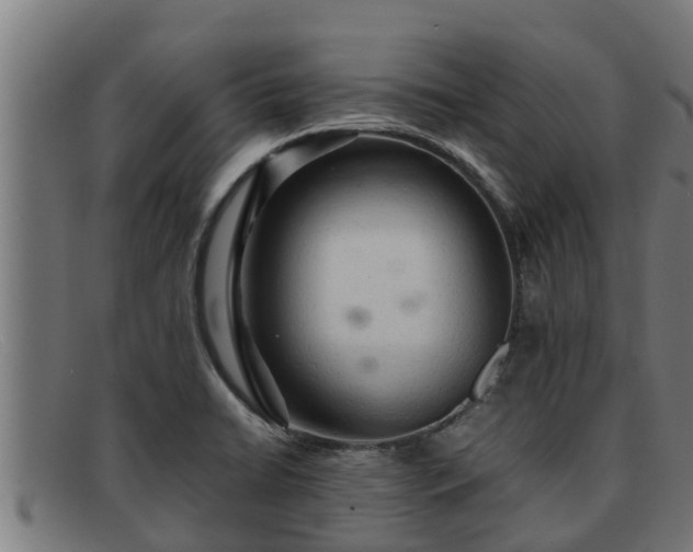 X0000091861422200709121321