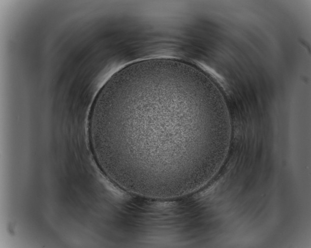 X0000091861423200709121321