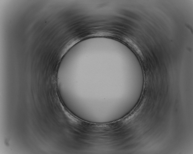 X0000091861425200709121321