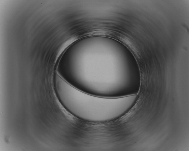 X0000091861426200709121321