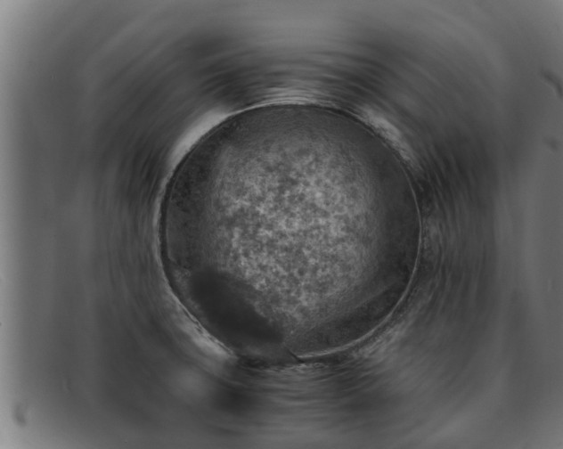 X0000091861427200709121321