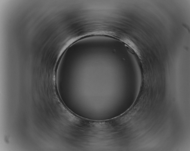 X0000091861428200709121321