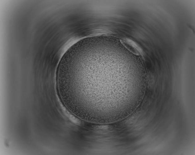 X0000091861431200709121321