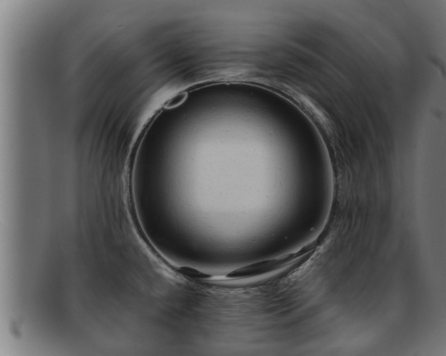 X0000091861432200709121321