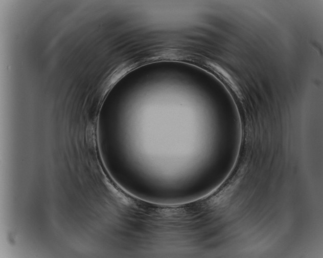 X0000091861433200709121321