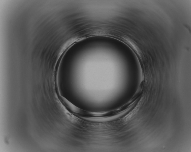 X0000091861434200709121321