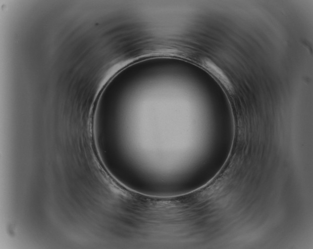 X0000091861436200709121321