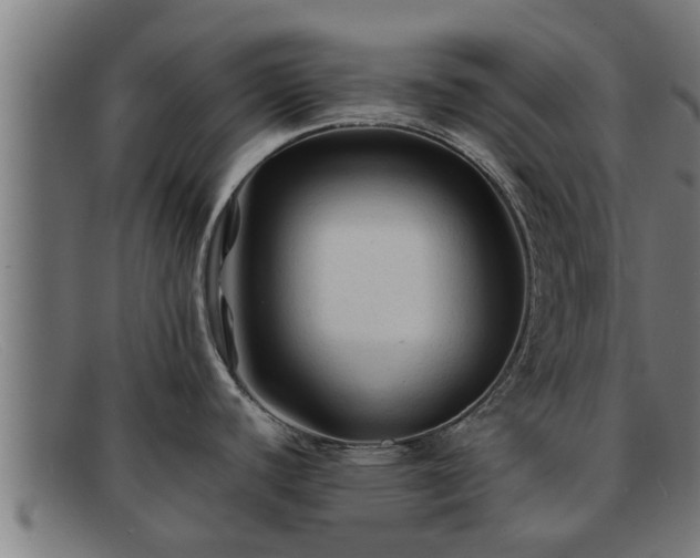 X0000091861440200709121321