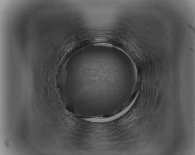 X0000091861441200709121321