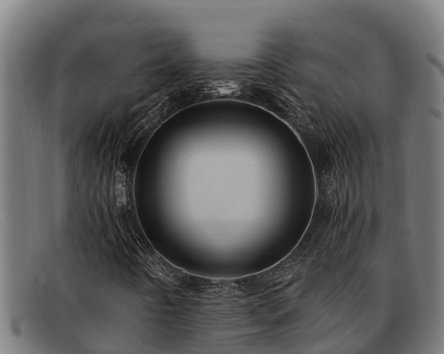 X0000091861442200709121321