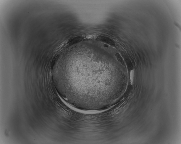 X0000091861443200709121321