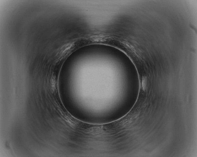 X0000091861444200709121321