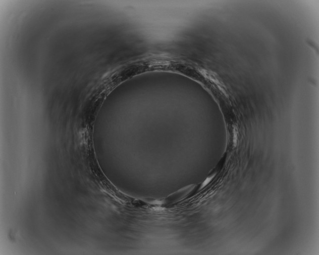 X0000091861445200709121321