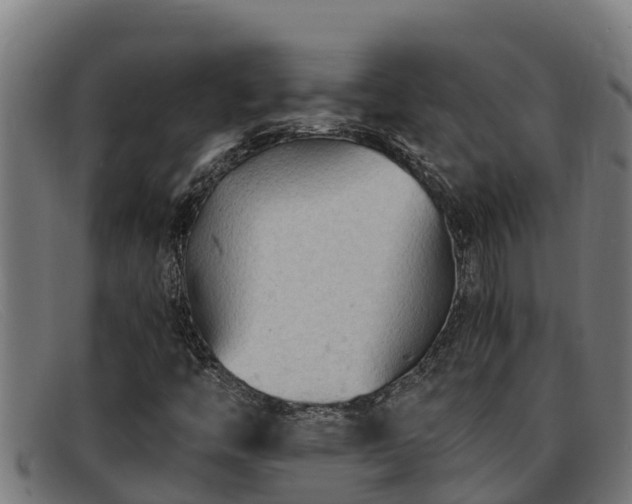 X0000091861446200709121321