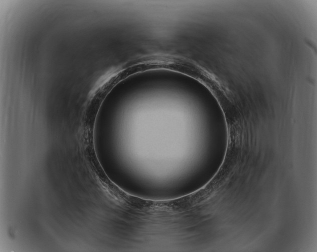 X0000091861448200709121321