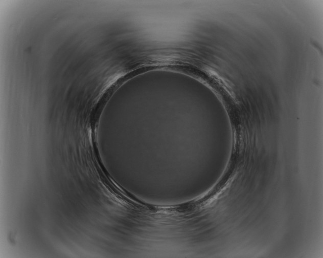 X0000091861449200709121321