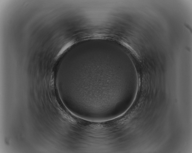 X0000091861450200709121321