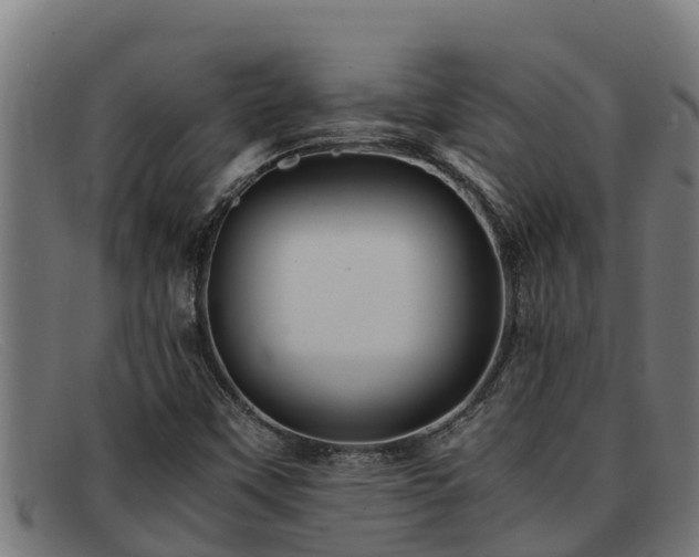 X0000091861451200709121321