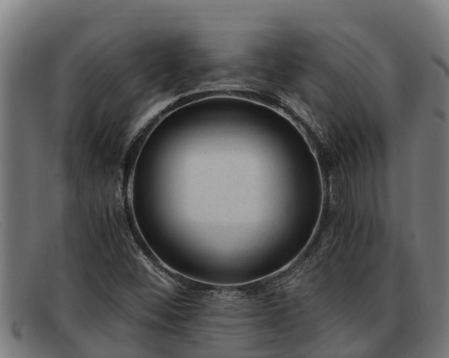 X0000091861452200709121321