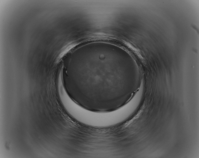 X0000091861453200709121321