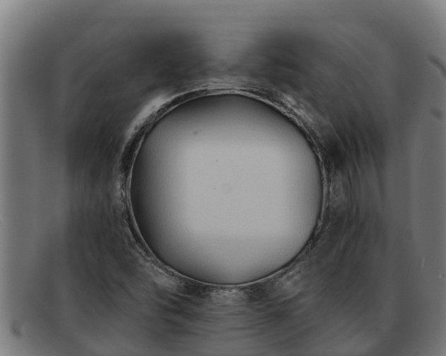 X0000091861454200709121321