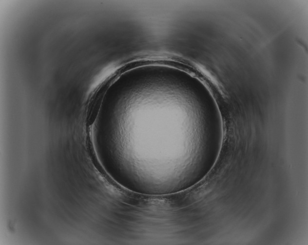 X0000091861456200709121321