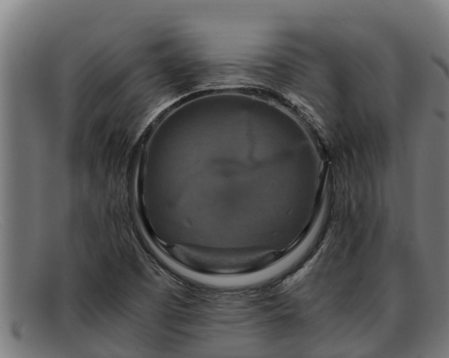 X0000091861457200709121320