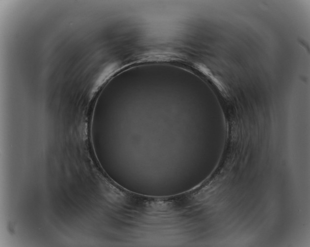 X0000091861459200709121320