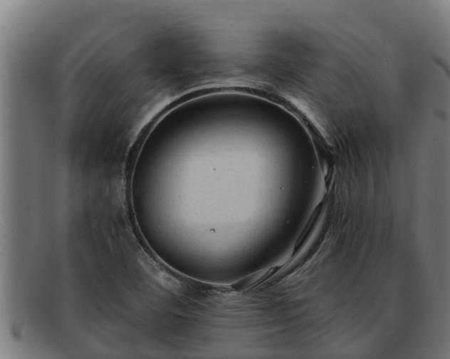 X0000091861460200709121320