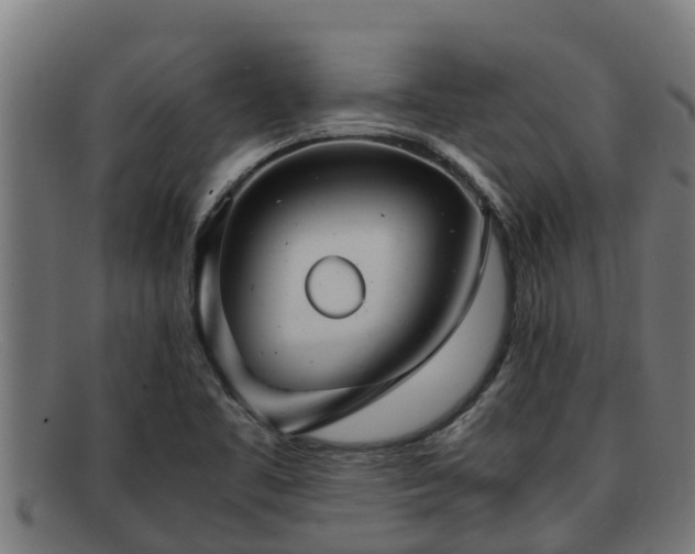 X0000091861461200709121320