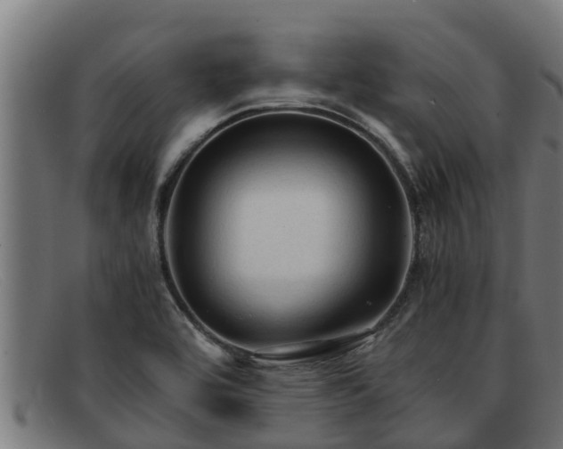 X0000091861464200709121320