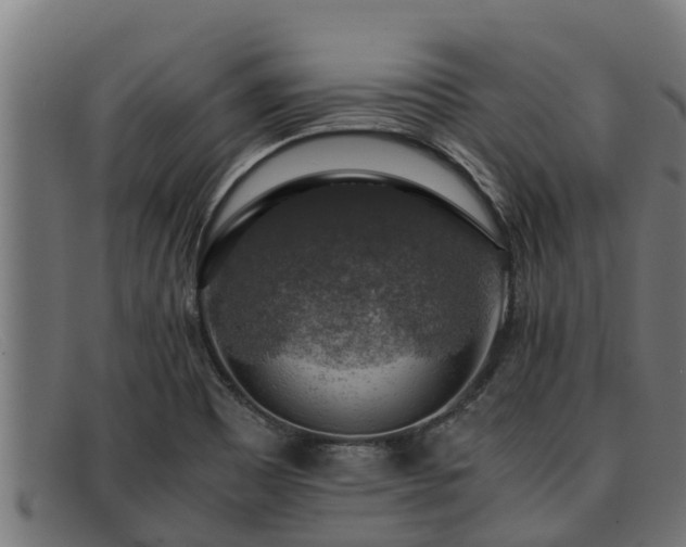 X0000091861465200709121320