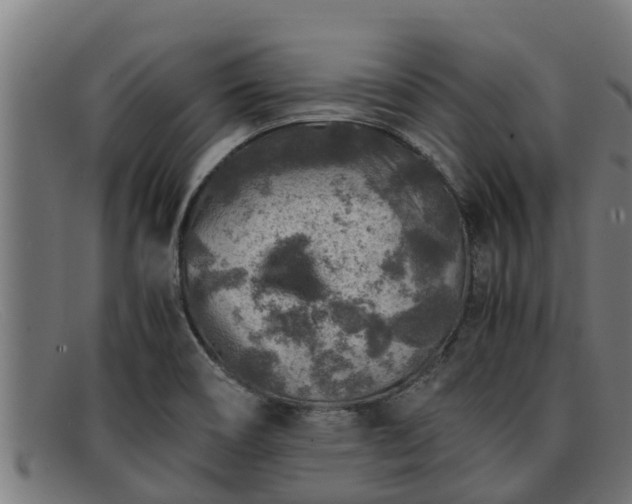 X0000091861466200709121320