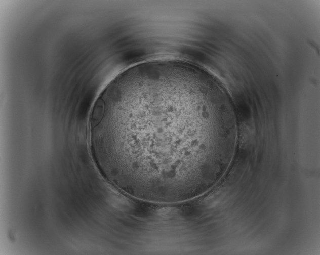 X0000091861467200709121320