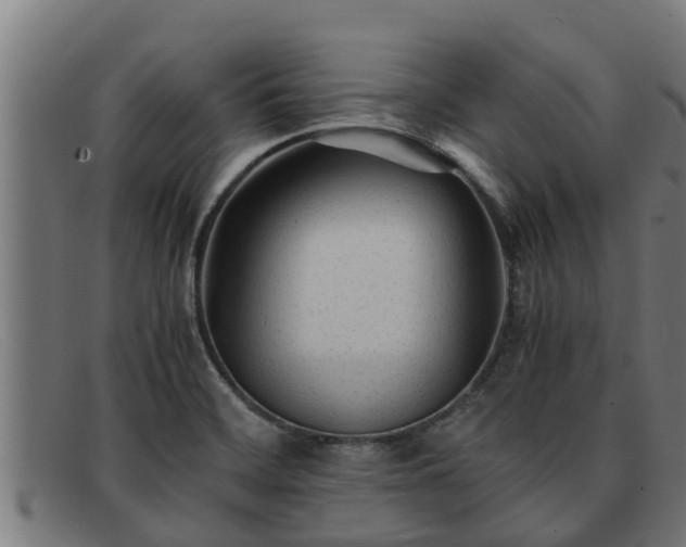 X0000091861468200709121320