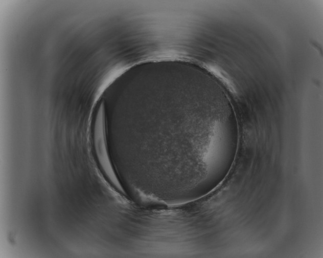 X0000091861469200709121320