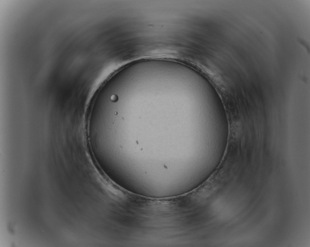 X0000091861470200709121320