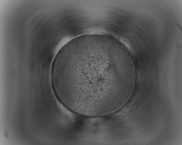 X0000091861471200709121320