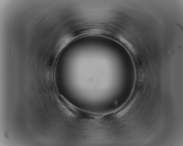 X0000091861473200709121320