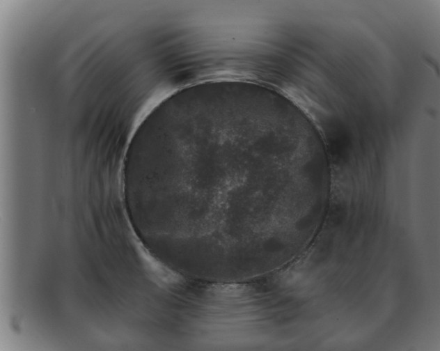 X0000091861474200709121320